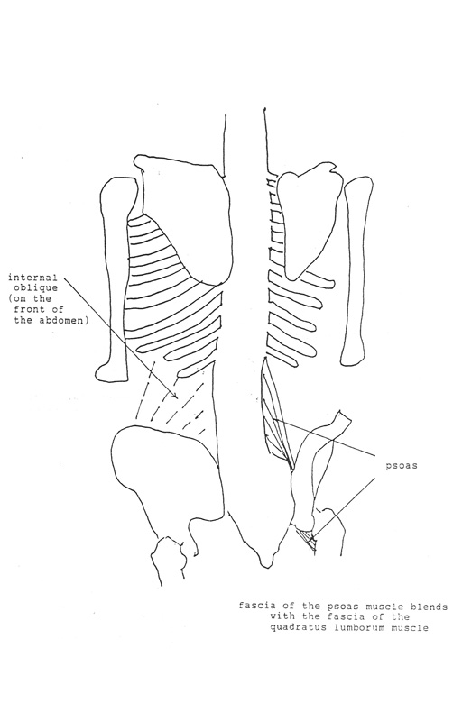 Psoas