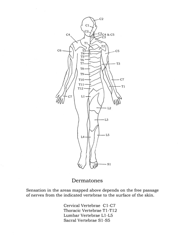 Dermatone Chart